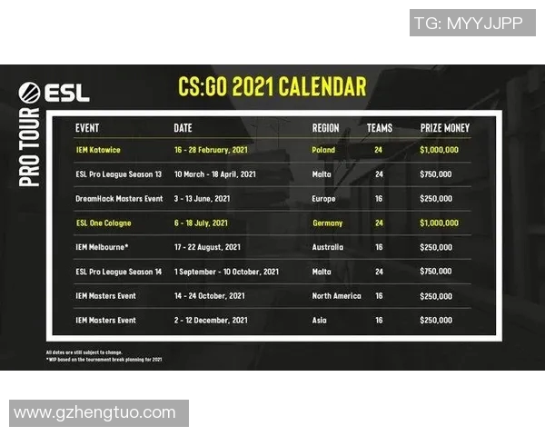 WE战队在CSGO赛季15中的灵活战术解析与电竞比分分析 WE战队在CSGO赛季15中的灵活战术解析与电竞比分分析